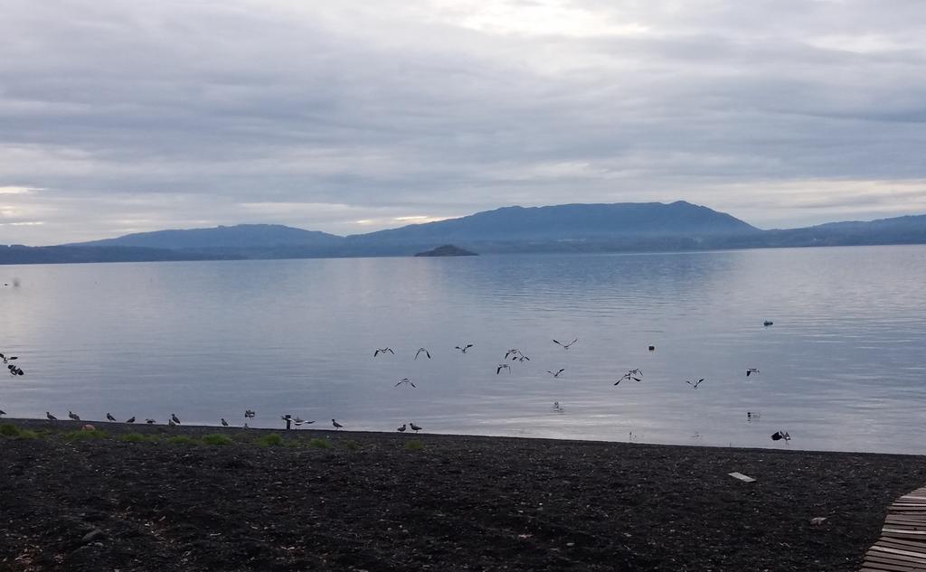 Saida Villarrica, Arriendo Guest house Pucon
